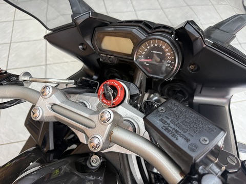 FZ1