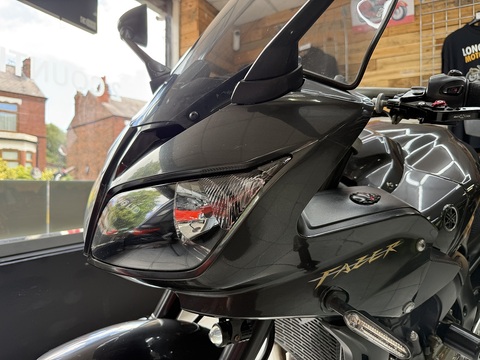 FZ1