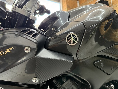 FZ1