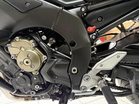 FZ1