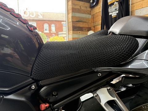 FZ1