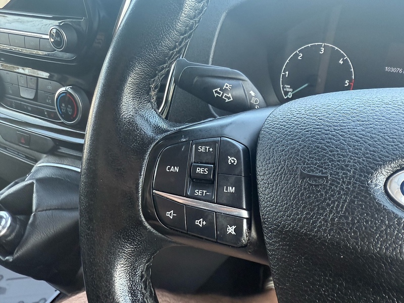 Ford 300 EcoBlue Limited Panel Van 2.0 Manual Diesel