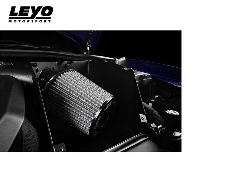 Leyo Motorsport 4" Cold Air Intake Kit - Audi RS3 8V (Pre-Facelift) Image 4