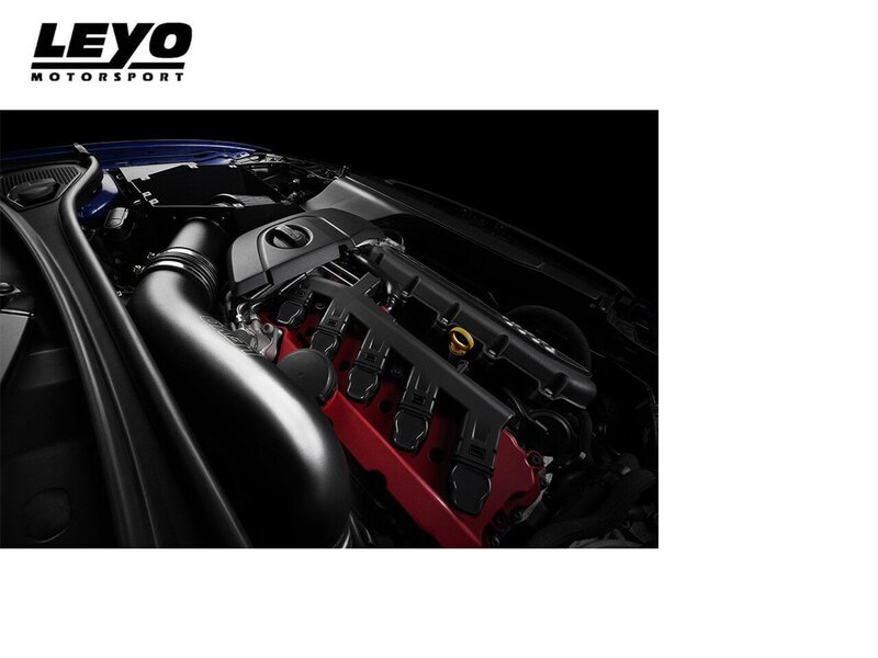 Leyo Motorsport 4" Cold Air Intake Kit - Audi RS3 8V (Pre-Facelift) Image 3