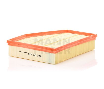 AIR FILTER  C29230
