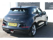 GWM Funky Cat First Edition 