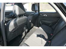 GWM Funky Cat First Edition 