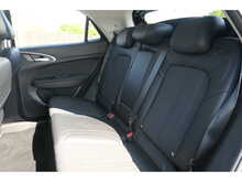 GWM Funky Cat First Edition 