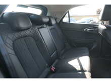 GWM Funky Cat First Edition 