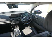 GWM Funky Cat First Edition 