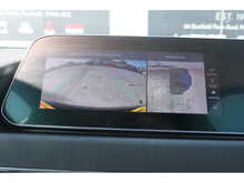 GWM Funky Cat First Edition 