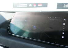 GWM Funky Cat First Edition 