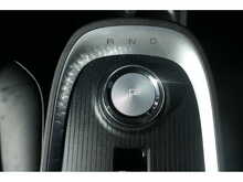 GWM Funky Cat First Edition 