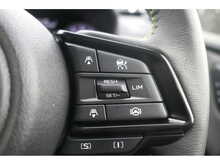 Subaru Forester i e-Boxer Field 