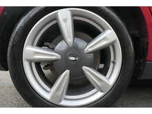 GWM Funky Cat First Edition 