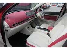 GWM Funky Cat First Edition 