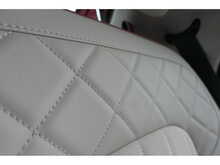 GWM Funky Cat First Edition 