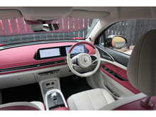 GWM Funky Cat First Edition 