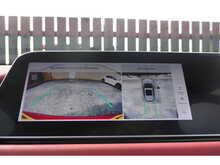 GWM Funky Cat First Edition 