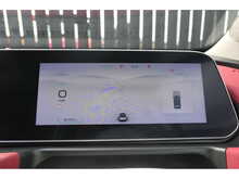 GWM Funky Cat First Edition 