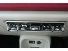 GWM Funky Cat First Edition 