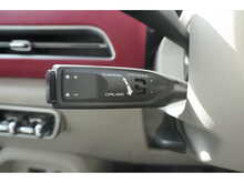 GWM Funky Cat First Edition 