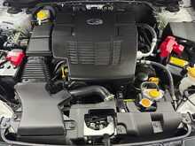 Subaru Forester i e-Boxer Field 