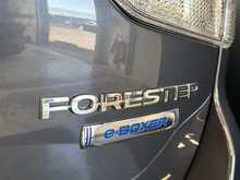 Subaru Forester i e-Boxer XE Premium 