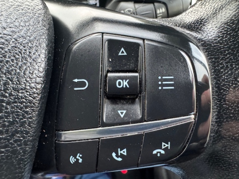 Ford 300 EcoBlue L2 H1 LWB RS SPORT LIMITED 2.0 5dr Panel Van Manual Diesel