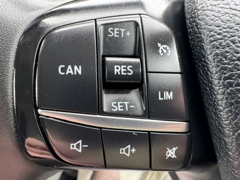 Ford 300 EcoBlue Trend RS SPORT 2.0 5dr Panel Van Manual Diesel