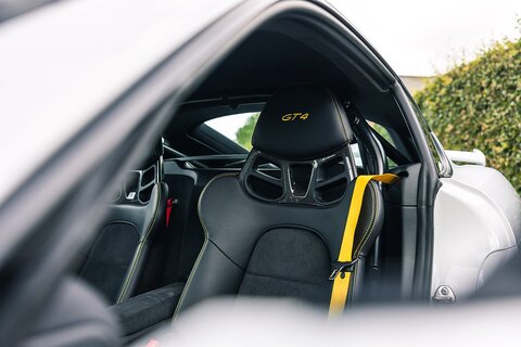 3.8 981 GT4 Coupe 2dr Petrol Manual Euro 6 (385 ps)