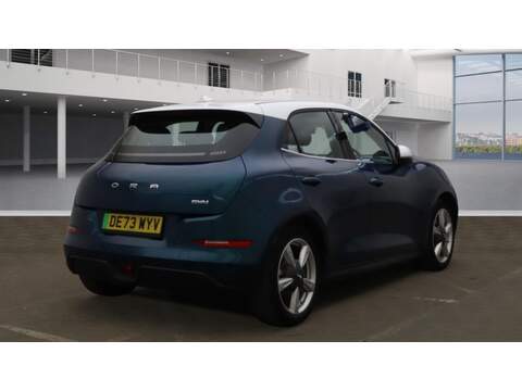 GWM Funky Cat First Edition - U5186