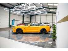 Ford Mustang V8 GT - U55781