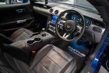 Ford Mustang V8 GT - U56034