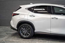 Lexus NX 450h+ - U56248