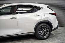 Lexus NX 450h+ - U56248