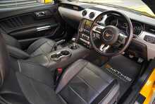 Ford Mustang V8 GT - U56371