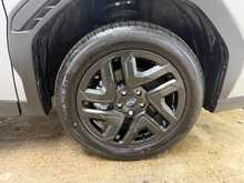 Subaru Forester i e-Boxer Field 