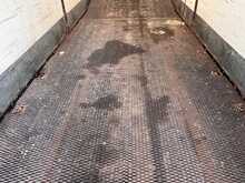 Andover Forklift Trailer with Sliding Roof 