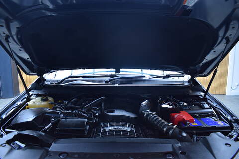 Ford Ranger 2.0 EcoBlue Wildtrak Pickup Double Cab - U428