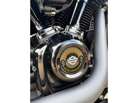 1745 FLSL Slim Custom Cruiser Petrol Manual Euro 5 (87 ps)