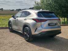 Lexus NX 350h Premium Plus 