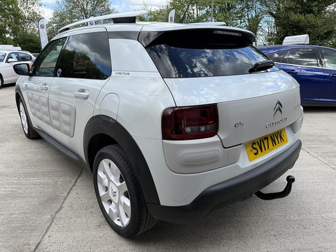 C4 Cactus W Puretech Bluehdi 100 Hatchback