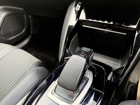 50kWh GT SUV 5dr Electric Auto (136 ps)