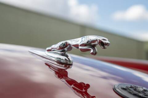 Jaguar XJS V12 Conv - U331