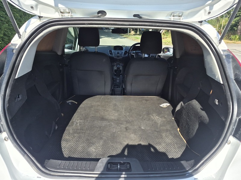 Ford 1.6 TDCi ECOnetic II Panel Van 3dr Diesel Manual (87 g/km, 94 bhp)