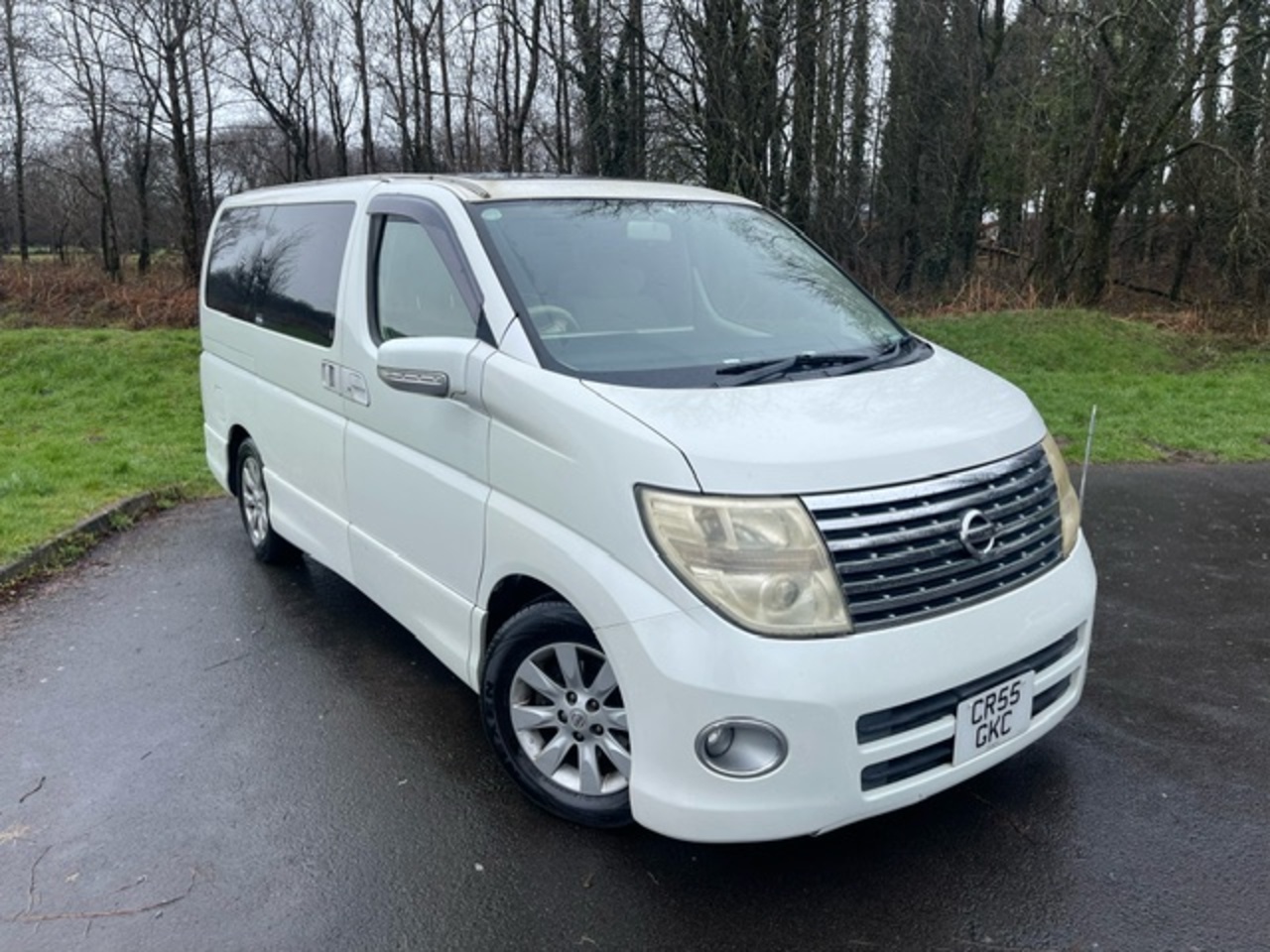 Used 2019 Nissan Elgrande For Sale (U100) Blackwood Used Cars