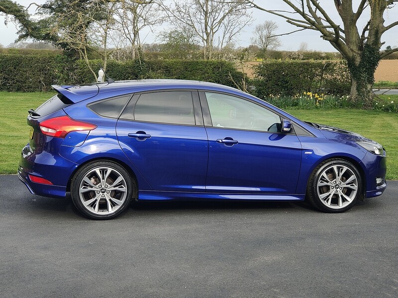 Ford 1.0T EcoBoost ST-Line Hatchback 5dr Petrol Manual Euro 6 (s/s) (125 ps)