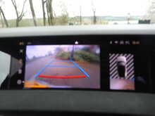 DS AUTOMOBILES DS 4 E-TENSE Performance Line 