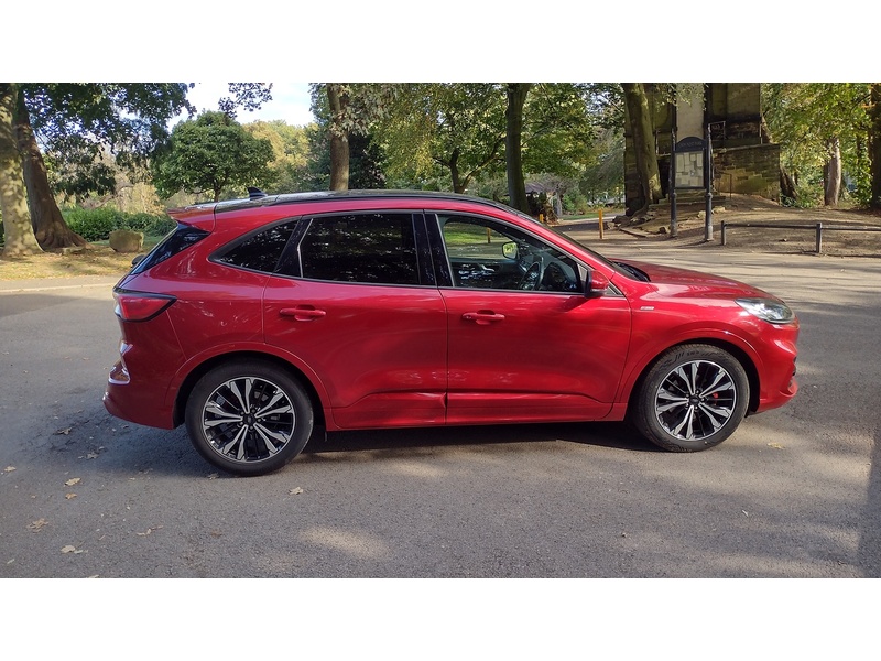 Ford Kuga EcoBlue ST-Line X Edition - U6453